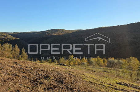 opereta_carousel_photo_7