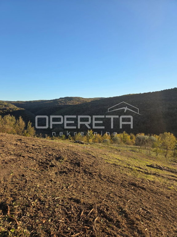 OPERETA 588945