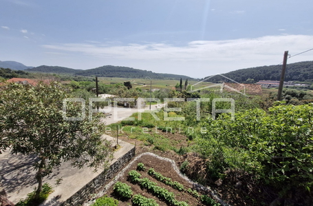 opereta_carousel_photo_9