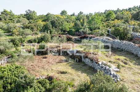 opereta_carousel_photo_2