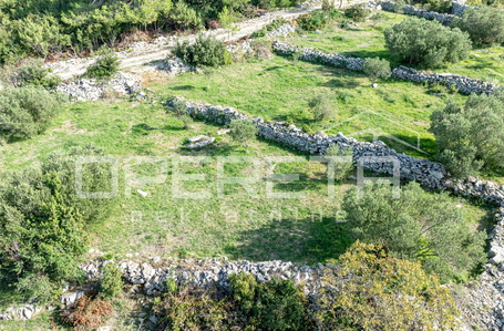 opereta_carousel_photo_3