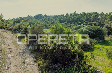 opereta_carousel_photo_7