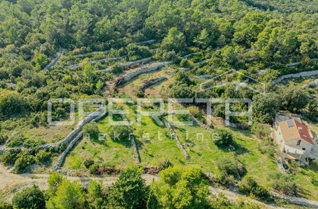 opereta_carousel_photo_8