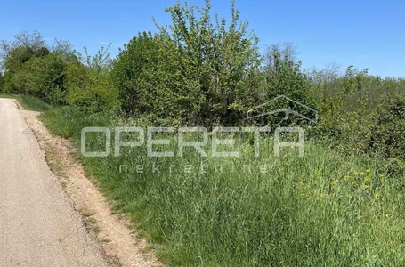 opereta_carousel_photo_3