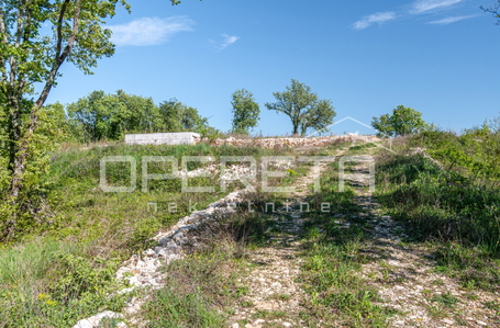 opereta_carousel_photo_5