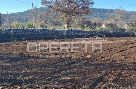 OPERETA 593426
