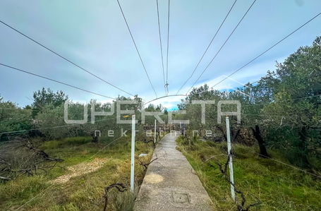 opereta_carousel_photo_9