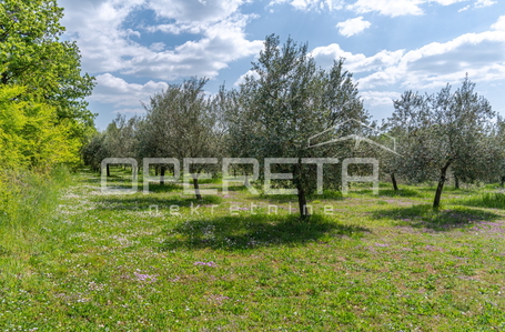 opereta_carousel_photo_2