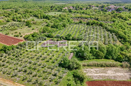 opereta_carousel_photo_3