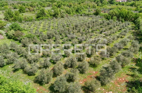 opereta_carousel_photo_4