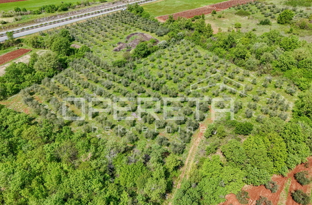 opereta_carousel_photo_5