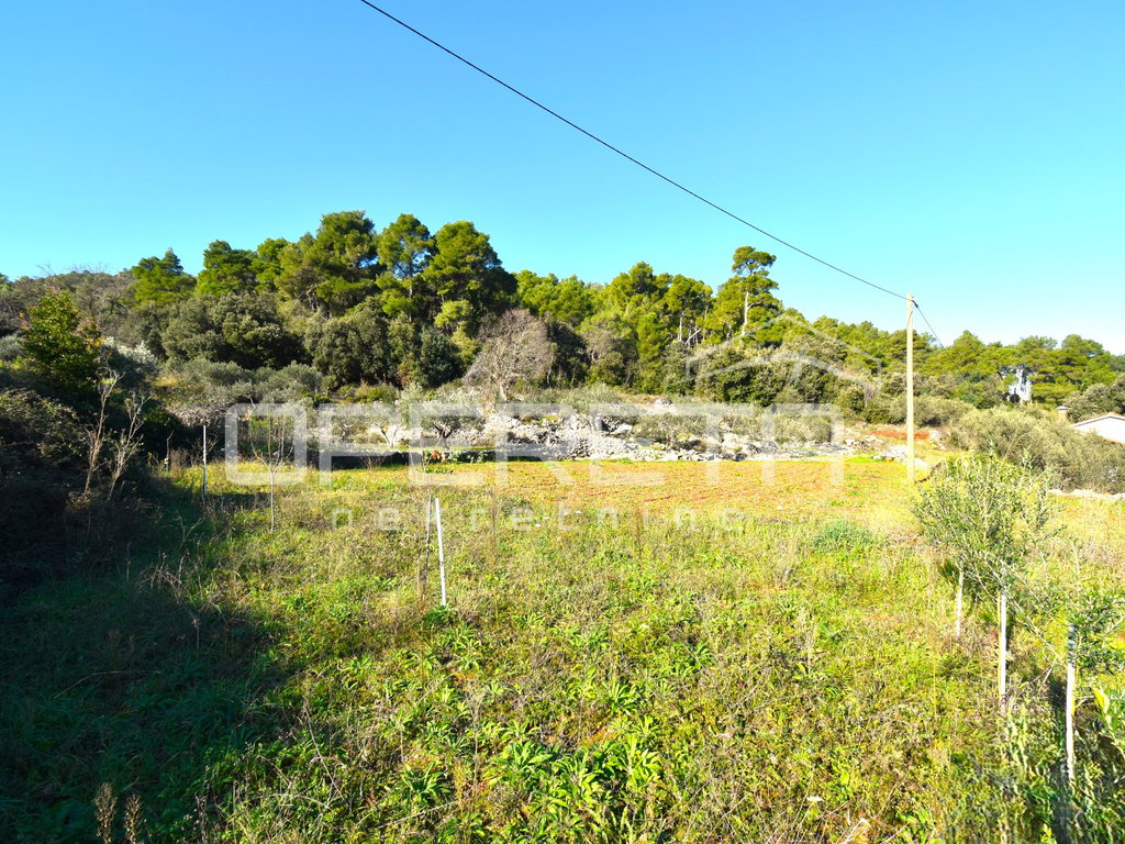 OPERETA 594499