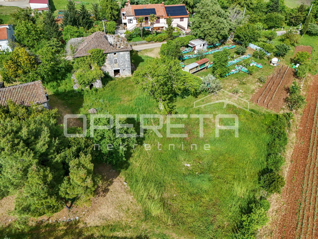 OPERETA 597180