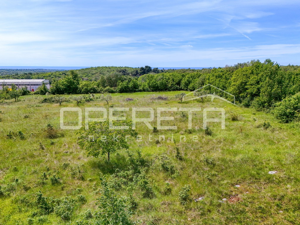OPERETA 598458