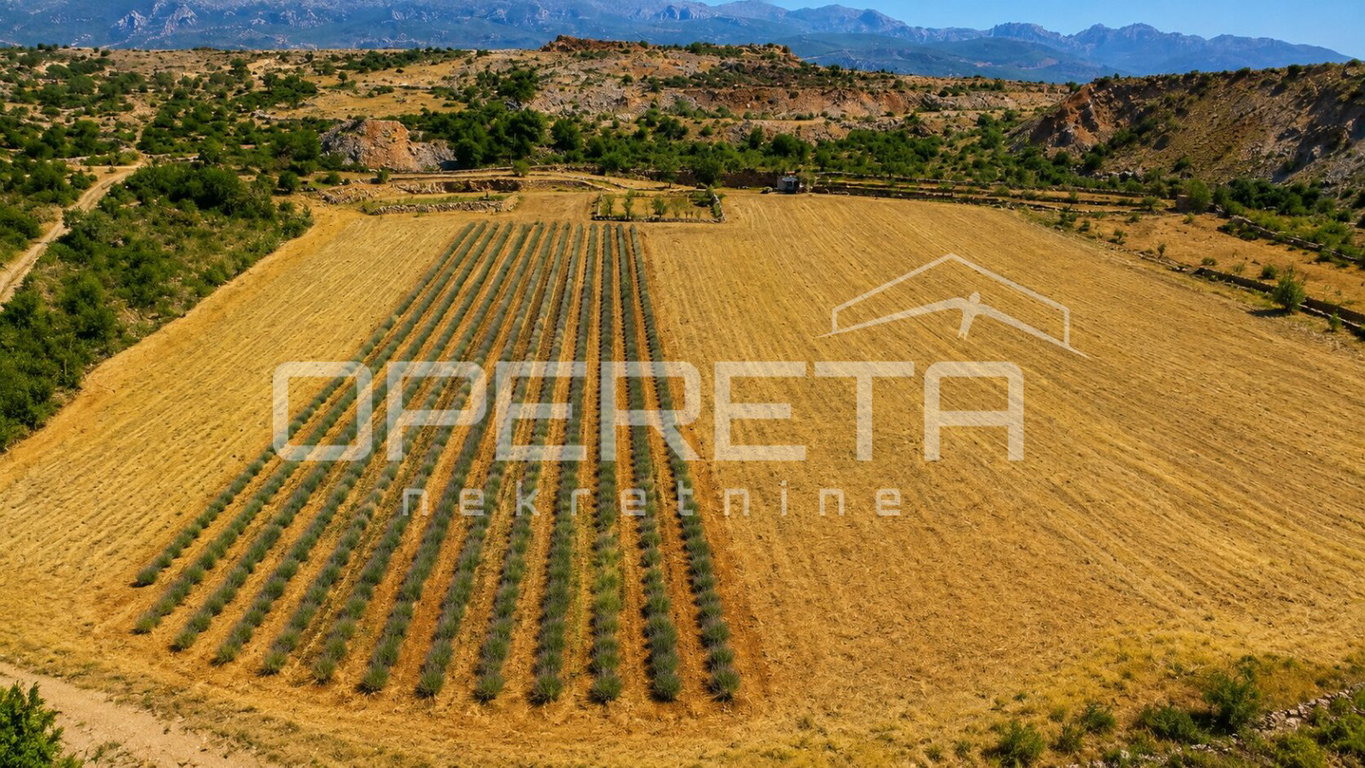 OPERETA 601878