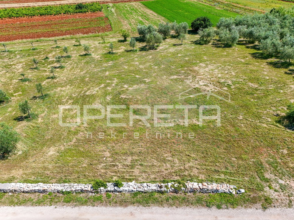 OPERETA 604880