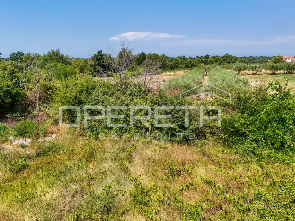 OPERETA 608865
