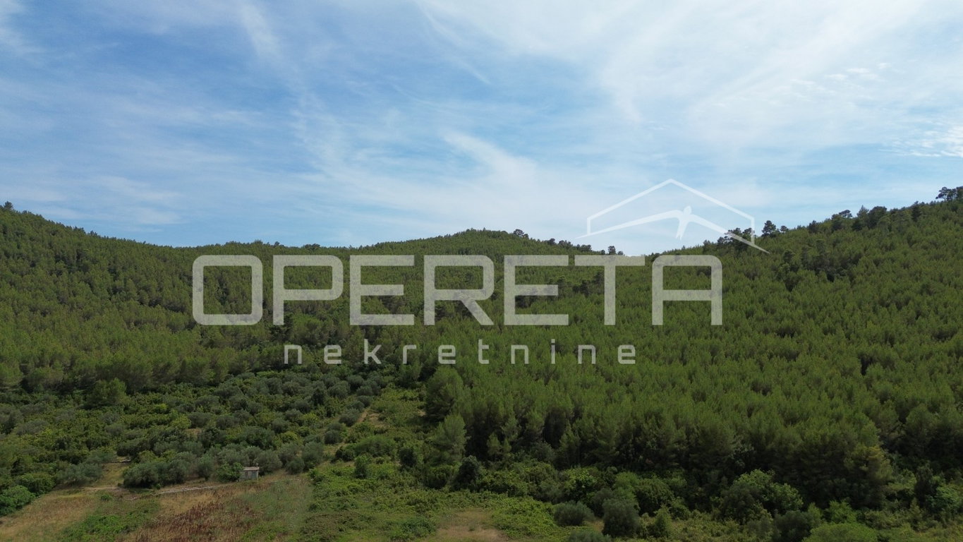 OPERETA 610637