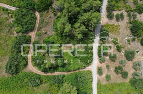 OPERETA 610984