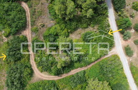 OPERETA 610988