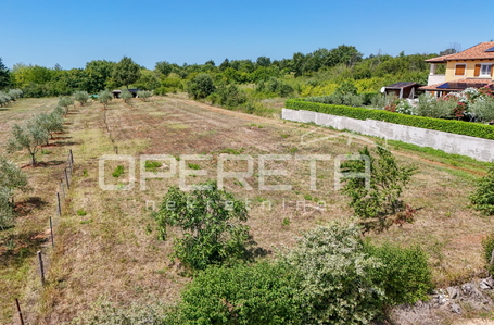 OPERETA 613384