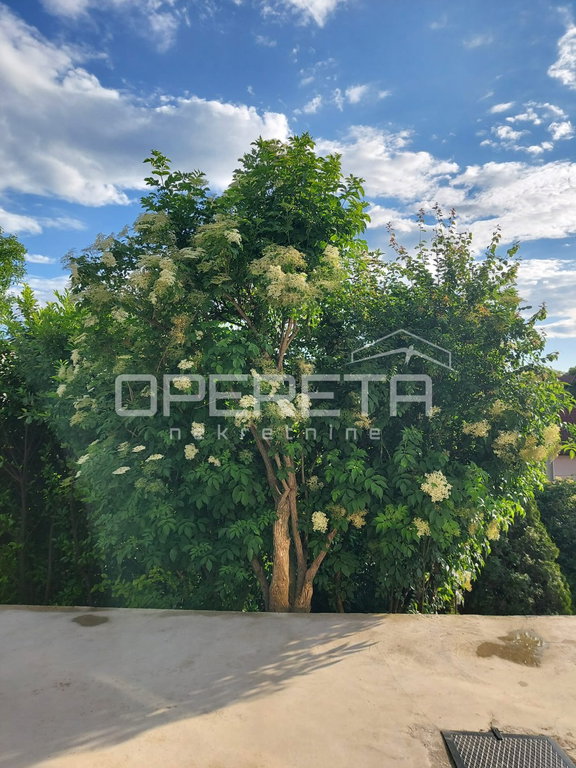 OPERETA 614077