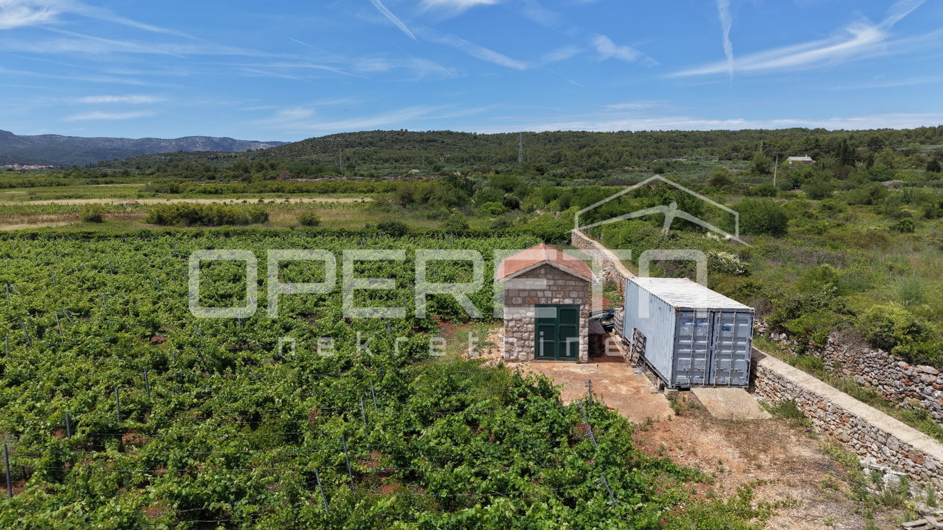 OPERETA 615622