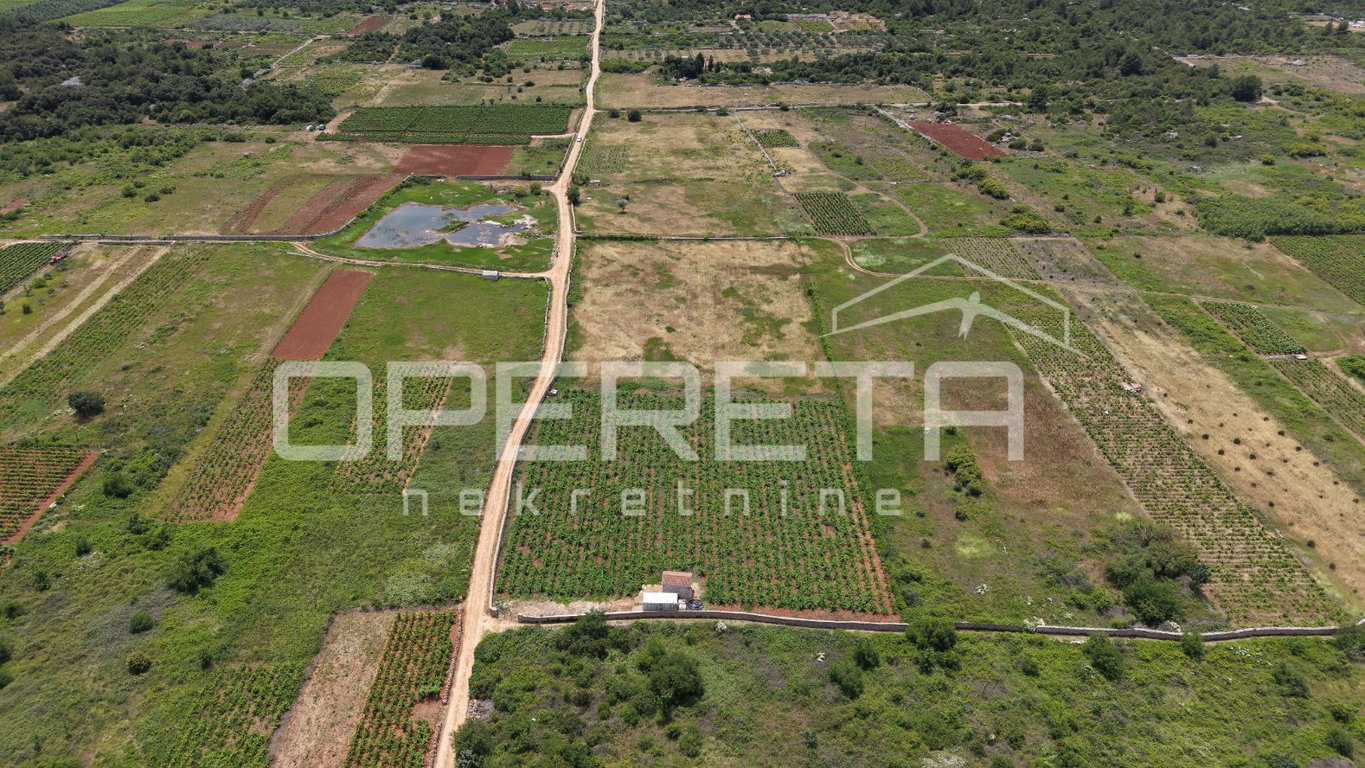 OPERETA 615624
