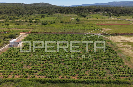 OPERETA 615625