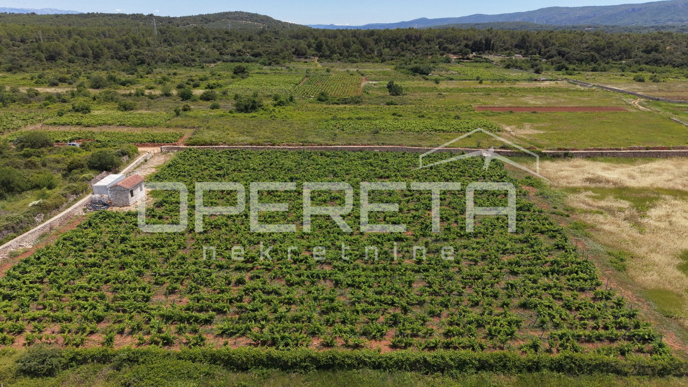 OPERETA 615625