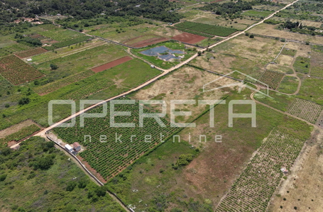 OPERETA 615627