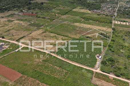OPERETA 615633