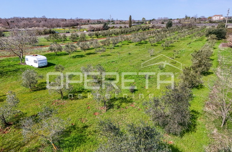 OPERETA 615990