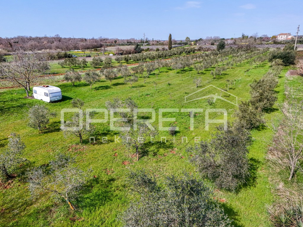 OPERETA 615990