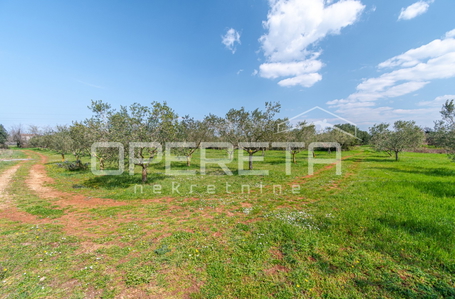 OPERETA 615997