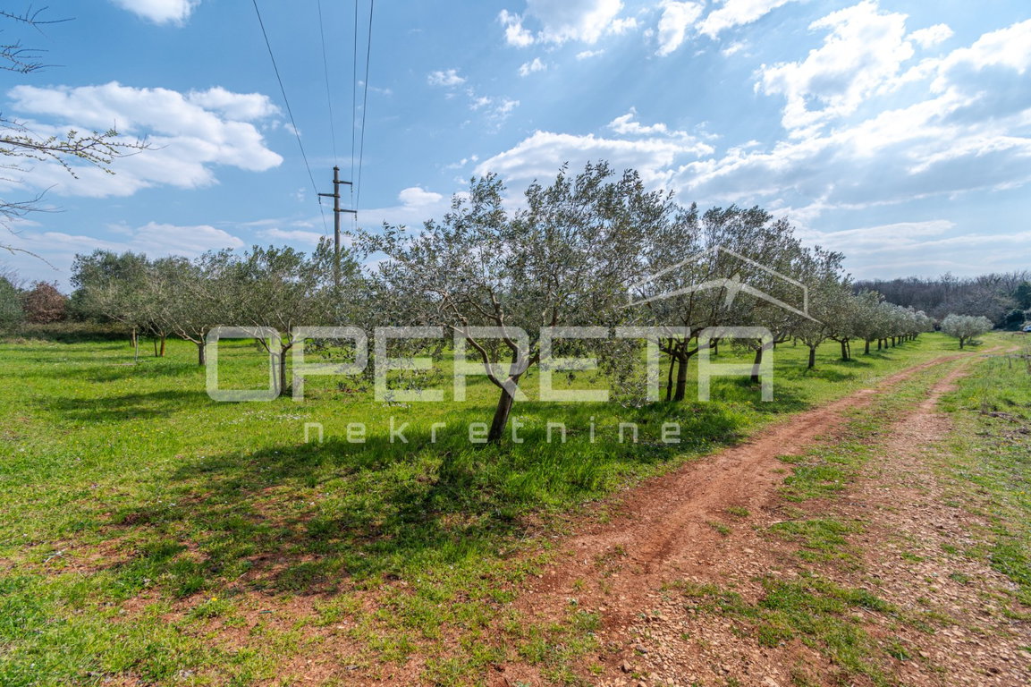 OPERETA 615999