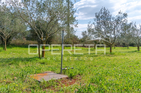 OPERETA 616001