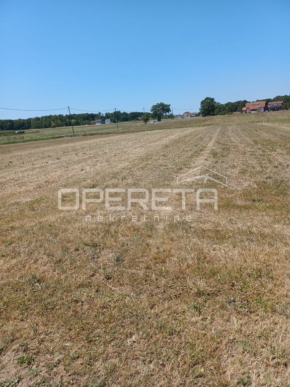 OPERETA 616487