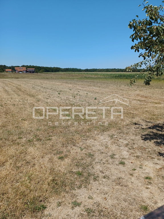 OPERETA 616488