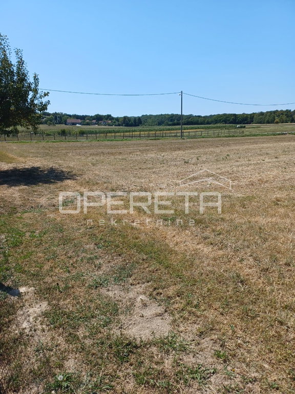 OPERETA 616489