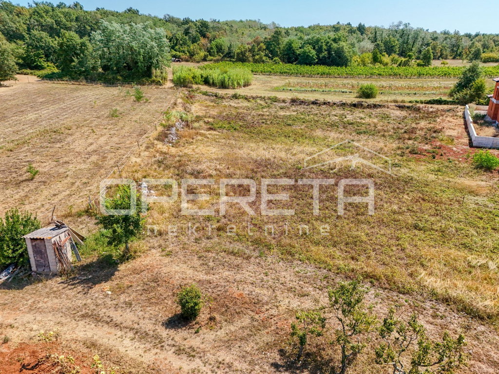 OPERETA 618667