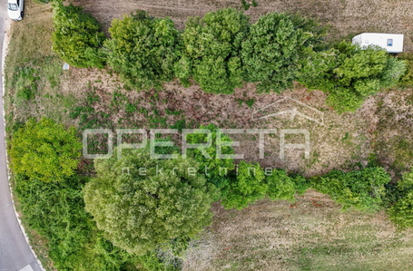 OPERETA 618765