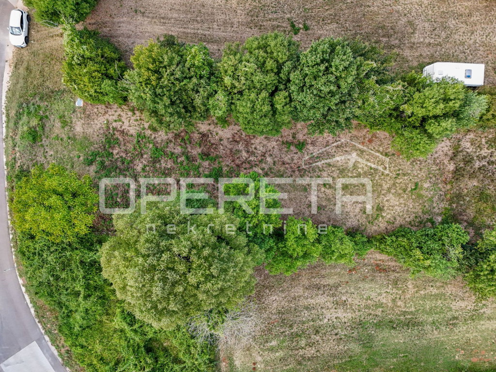OPERETA 618765