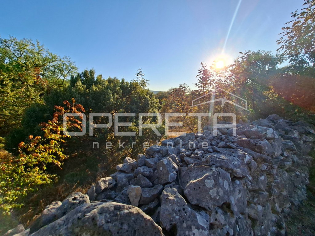 OPERETA 619156