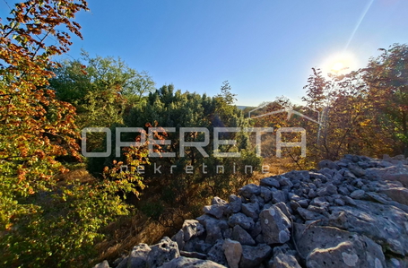 OPERETA 619163