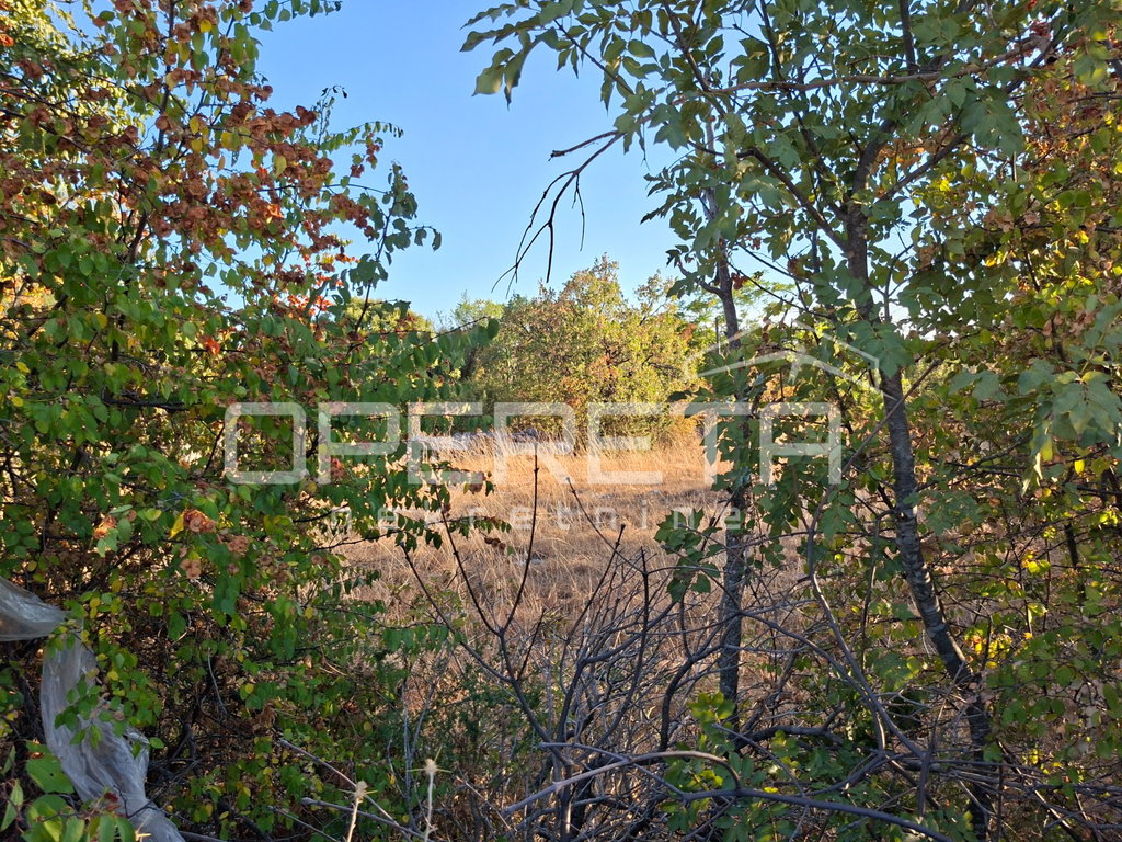 OPERETA 619164