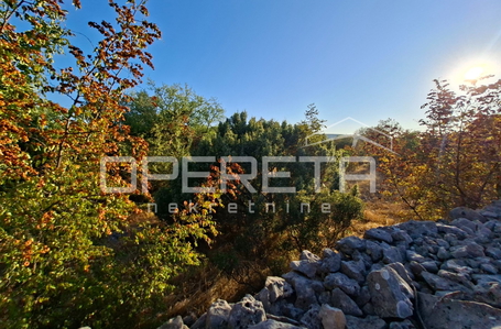 OPERETA 619165