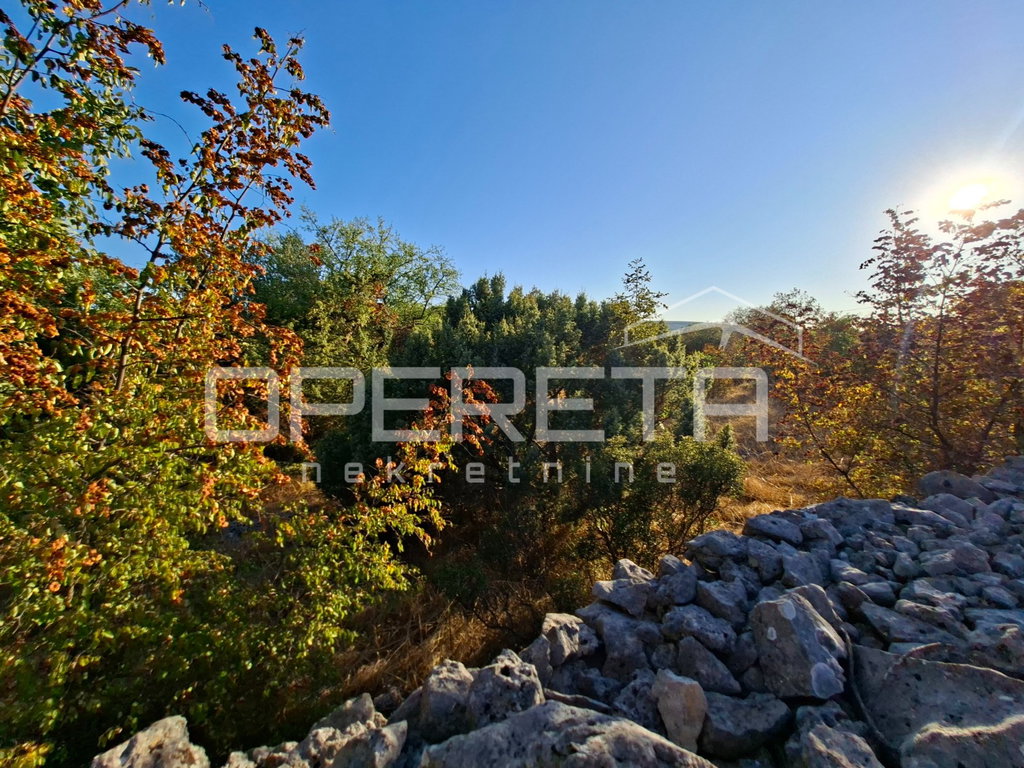 OPERETA 619165