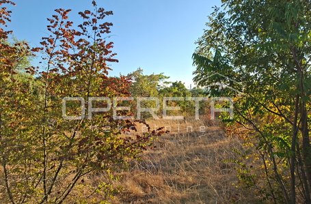 OPERETA 619168