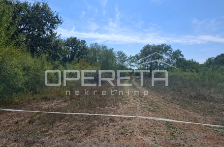 OPERETA 623769